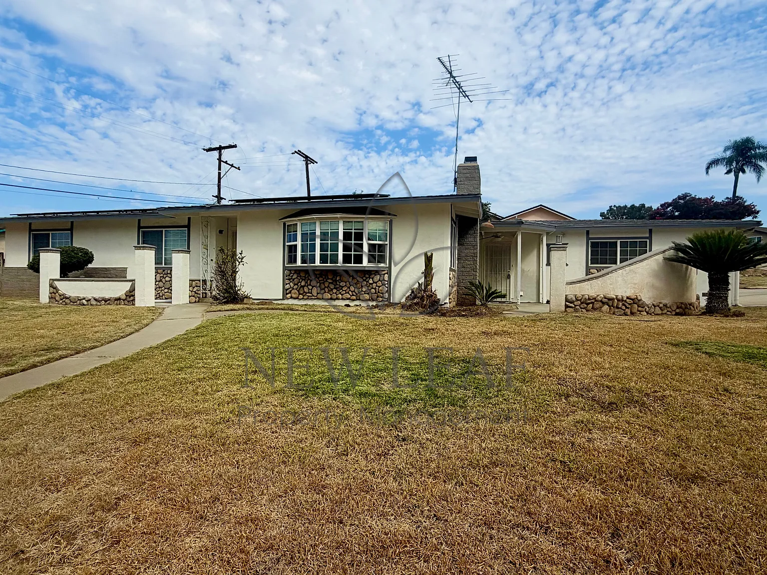 4 bed, 1660 sqft, $3,150 — Photo 3