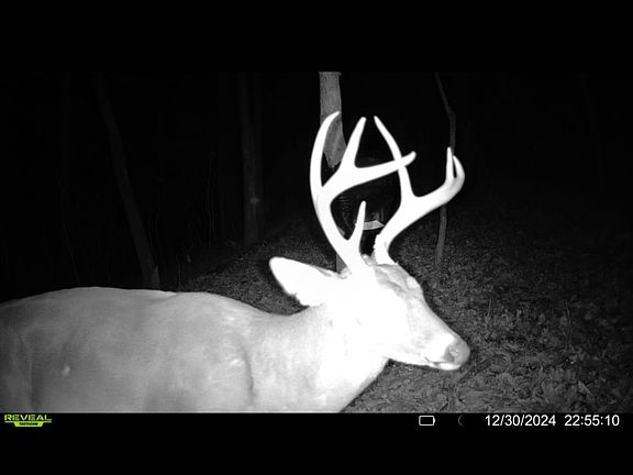 5th image of 0 Allens Creek Rd