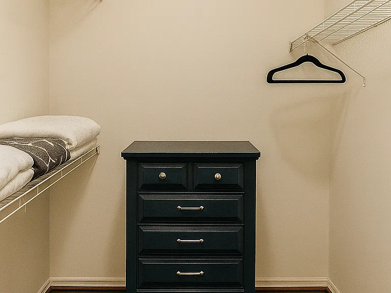 Walk-in closet + dresser