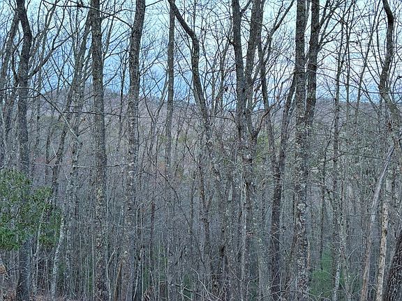 5th image of 2372 Humphrey Mill Rd