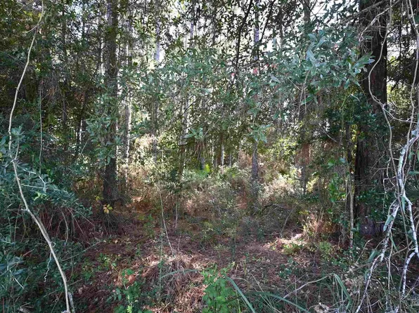 6417 Dickerson City Rd, Milton, FL 32583