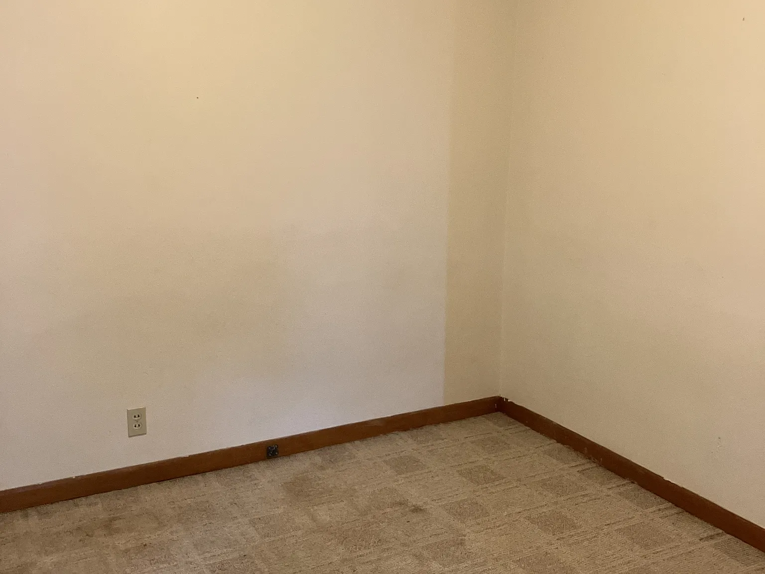 509 E. 2nd St. (4 plex) - 2 — Photo 4