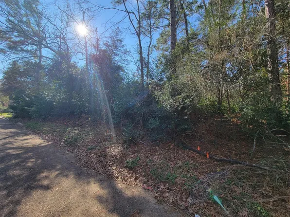 13-12149 Goliad Lot Willis Ter, Willis, TX 77378