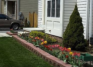 Front Planter w/Tulips