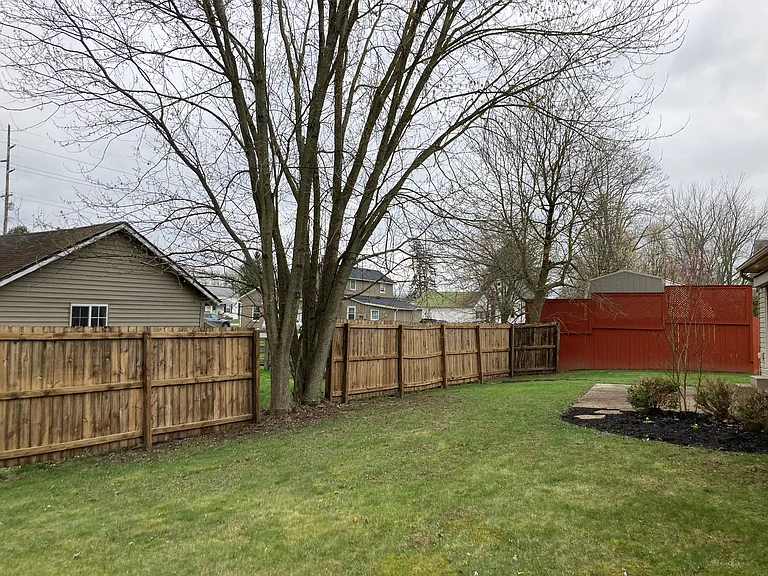 Back yard