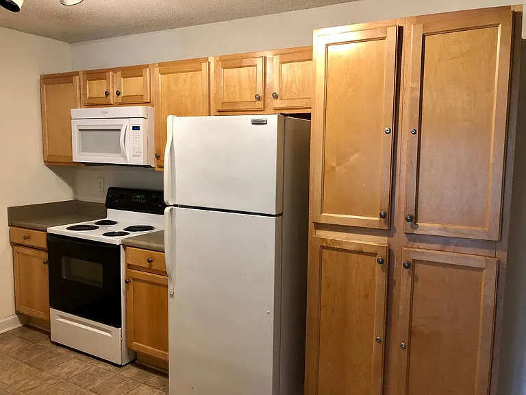 701 Harts Cove Way — Photo 28