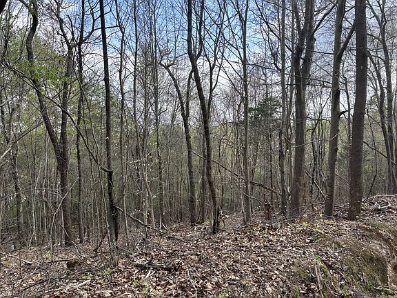 5th image of 408 Back Valley Rd
