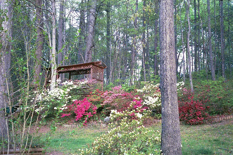 3543 Hidden Acres Dr — Photo 31