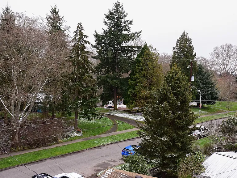 Upper Greenlake/Oaktree Area — Photo 19
