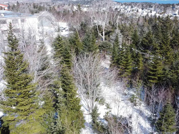 12 Dragonfly Ln, Halifax, NS B3V 0C6