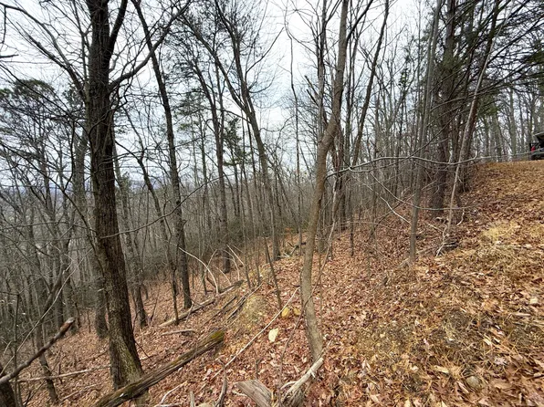 1.01 Ac Green Frst, Cosby, TN 37722