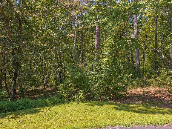 3rd image of LOT 205&6 Harris Ridge Dr