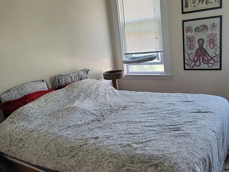 26 Hall St #2 — Photo 8