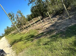 2097 NW Lake Lillian Rd, Fountain, FL 32438