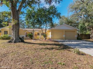 2502 Rich Mar Ln, Brandon, FL 33511