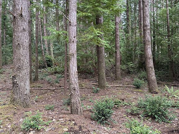 5th image of 0 Orchard Rd #2