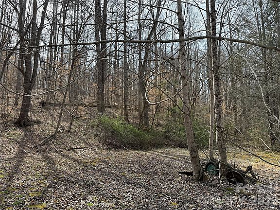 2nd image of 57 N Fork Rd