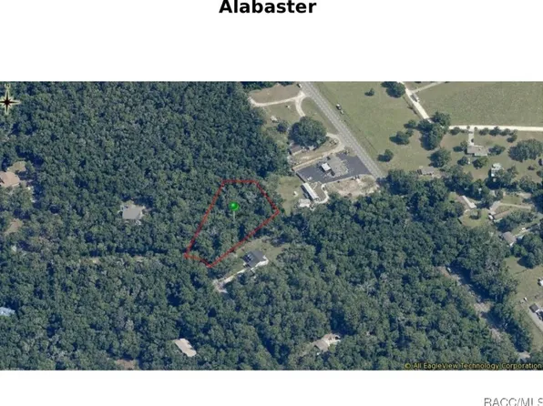 5121 N Alabaster Dr, Hernando, FL 34442