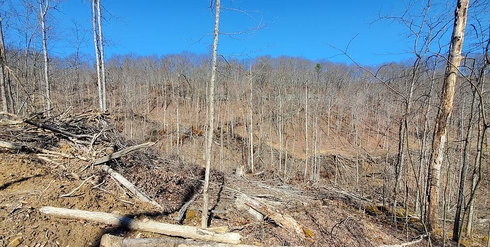 2nd image of Carter Hollow Rd