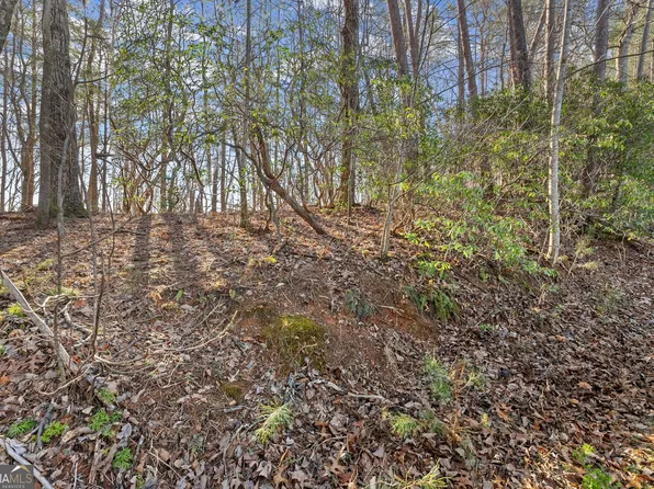 6 Sweet Apple Ln, Dahlonega, GA 30533