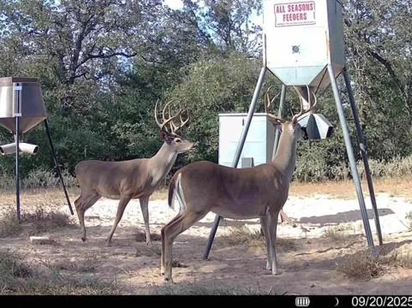 1147 County Road 249, Ottine, TX 78658
