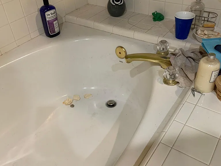 tub in the main bath