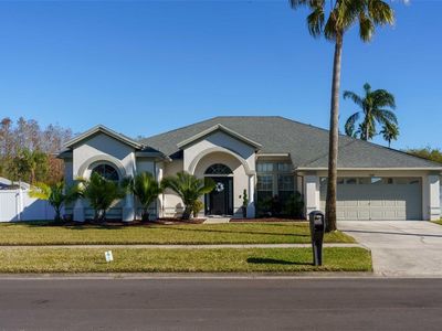 13418 Iola Dr, Tampa, FL, 33626