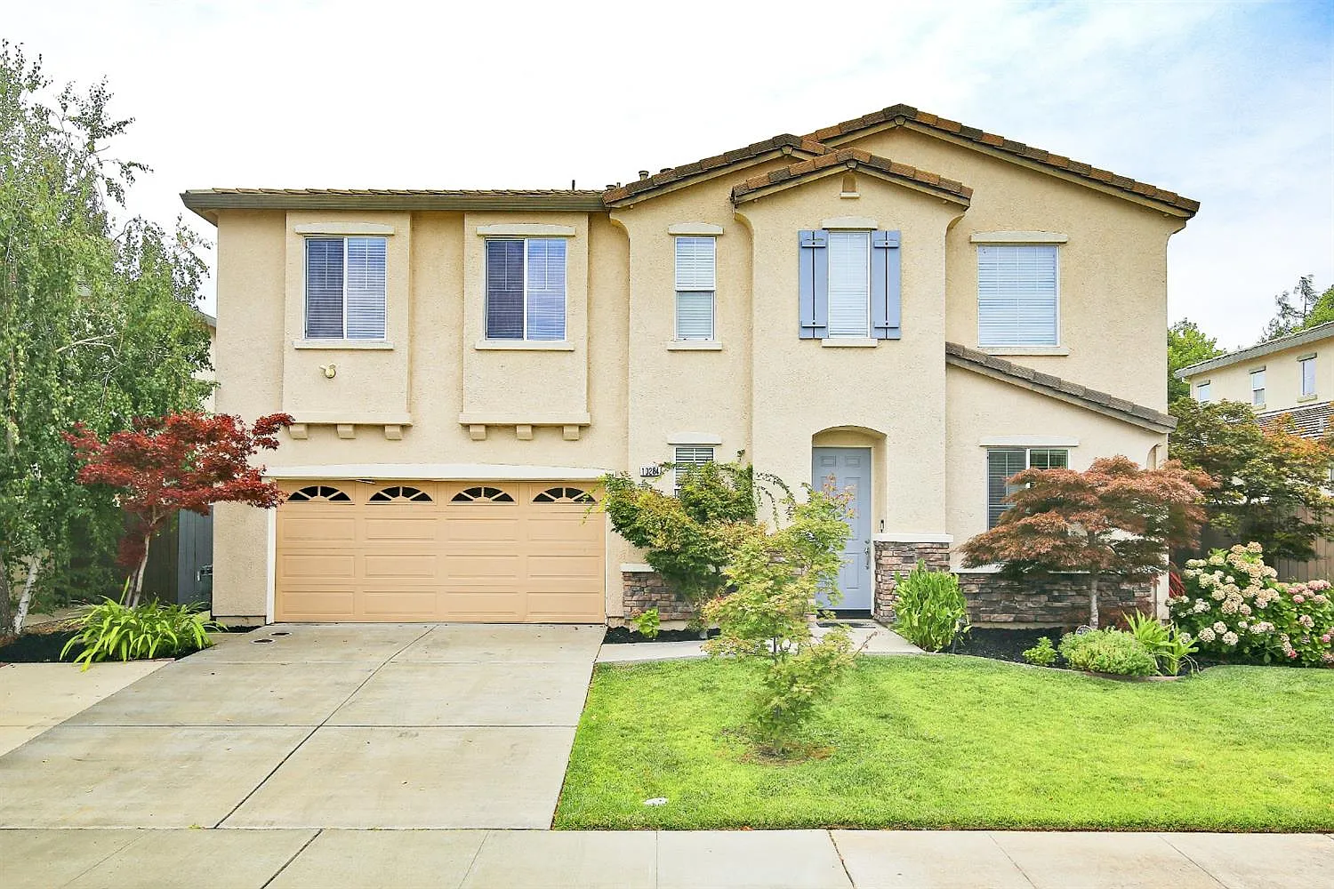 10284 Porto Moniz Way photo 1
