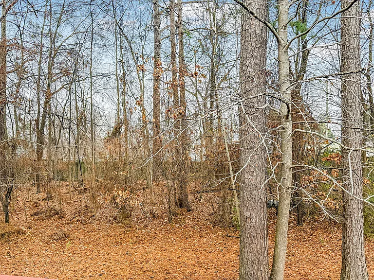 109 Holly Mountain Rd — Photo 29
