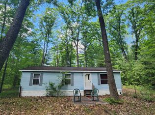 9308 E 22nd Rd, Manton, MI 49663