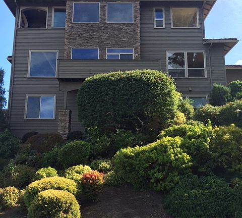 Neighboring Home