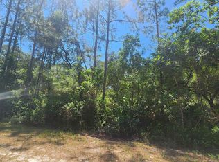 329 Palm Way, Georgetown, FL 32139