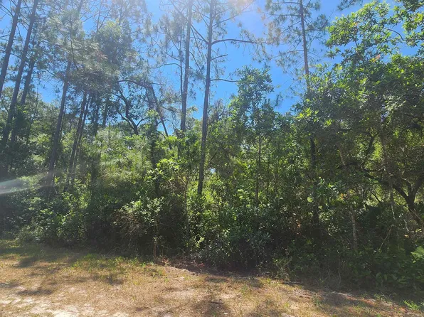 329 Palm Way, Georgetown, FL 32139