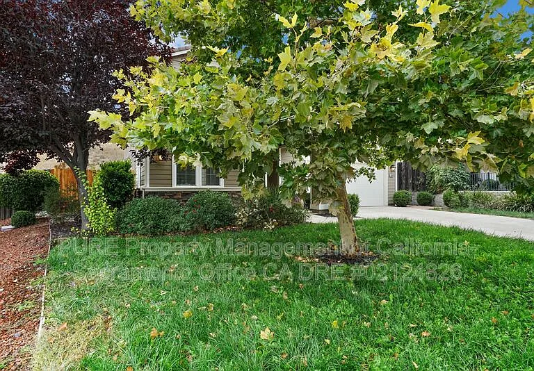 4909 Concordia Dr — Photo 51