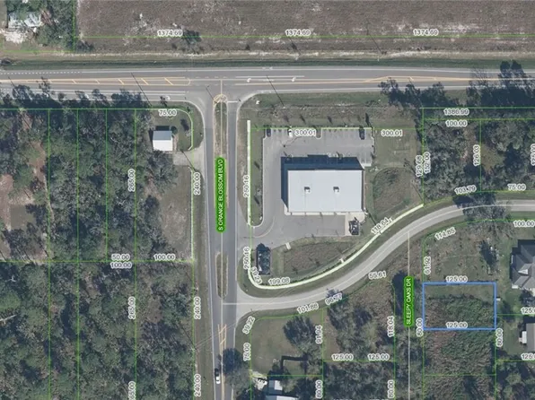 9208 Sleepy Oaks Dr, Sebring, FL 33875