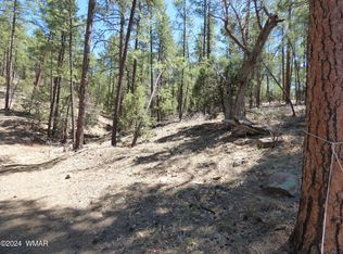 2451 S Hidden Ridge Trl, Show Low, AZ 85901