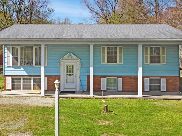 135 Mackinaw St, Mineral Point, PA 15942