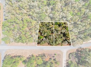 8987 N Alameda Dr, Citrus Springs, FL 34434