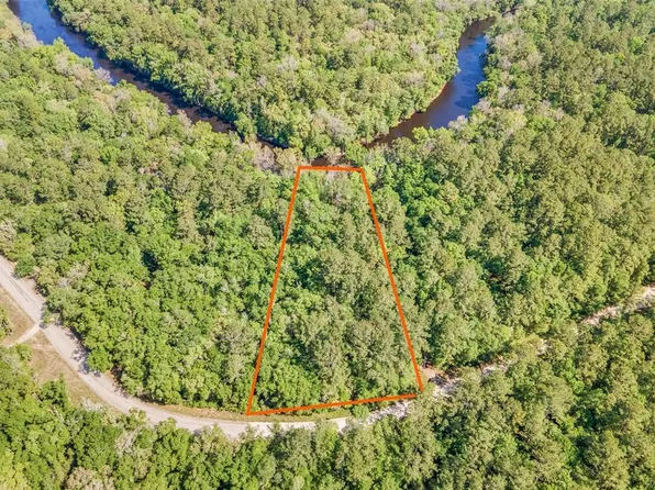 0 NE Withla Bluffs Way, Lee, FL 32059