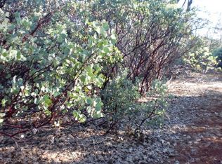 Bunny Tail Dr, Shingletown, CA 96088