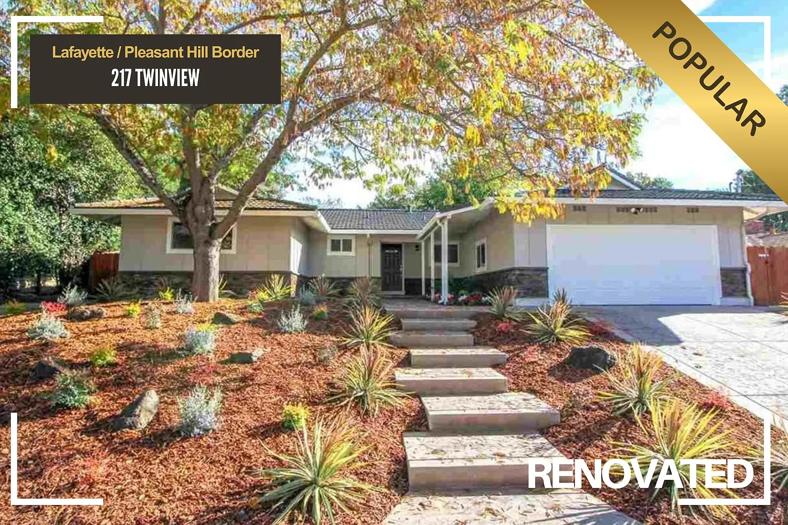 217 Twinview Dr photo 1