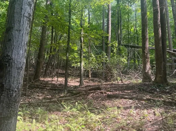 0 Haw Patch Rd, Ferrum, VA 24088