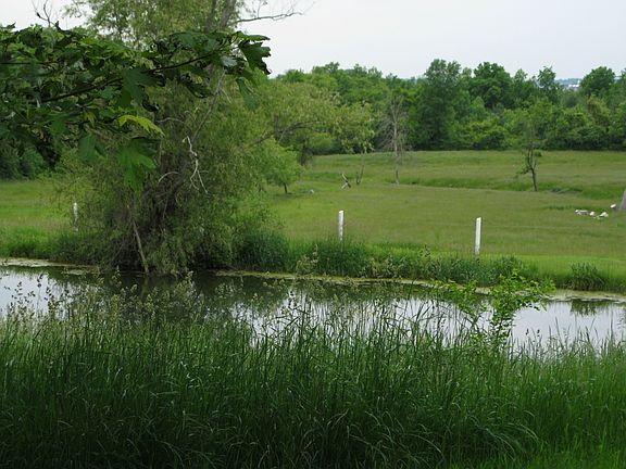 fenced pond