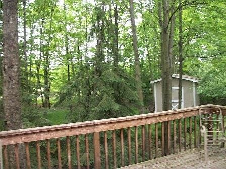 4th image of 1022 Beechwood Dr