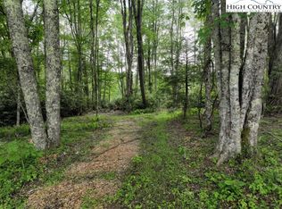 1776 Ripshin Mountain Rd, Roan Mountain, TN 37687