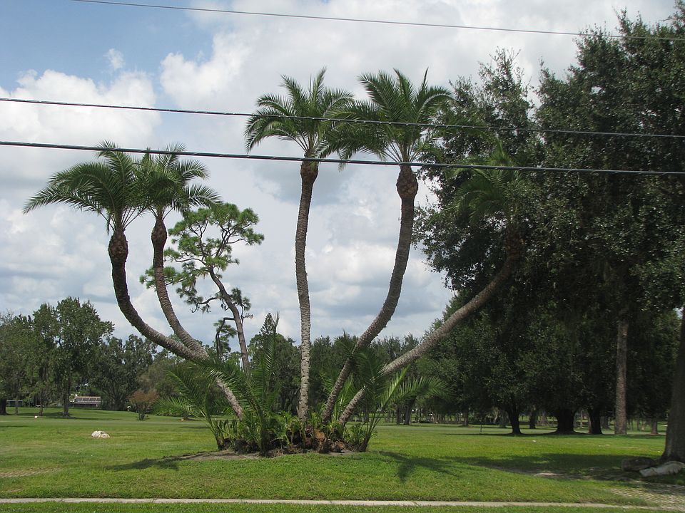 727 Whitfield Ave, Sarasota, FL 34243 Zillow