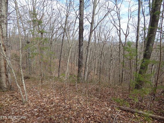 4th image of Bayside Blvd Lot 35