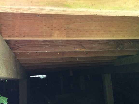 new foundation beams