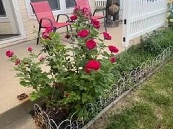 6405 Hollyhock Green #62, Frederick, CO 80530