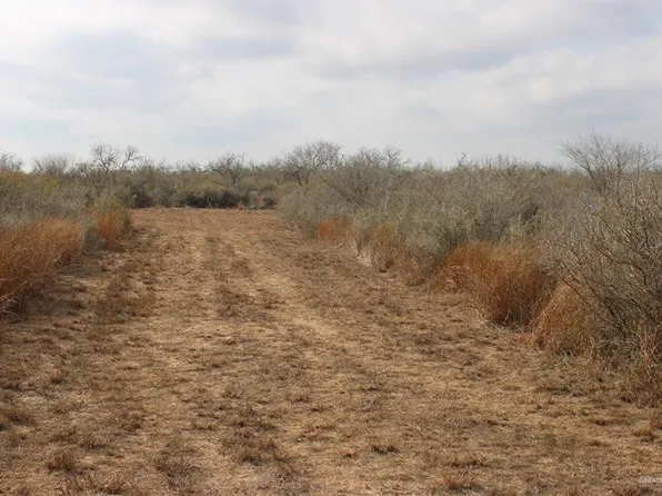 0 Private Road Vida, Encino, TX 78353